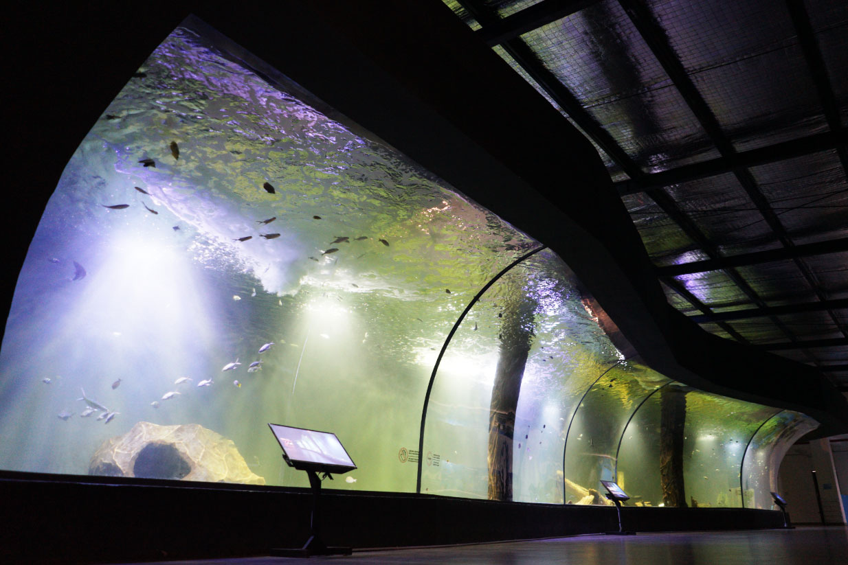 aquarium curve