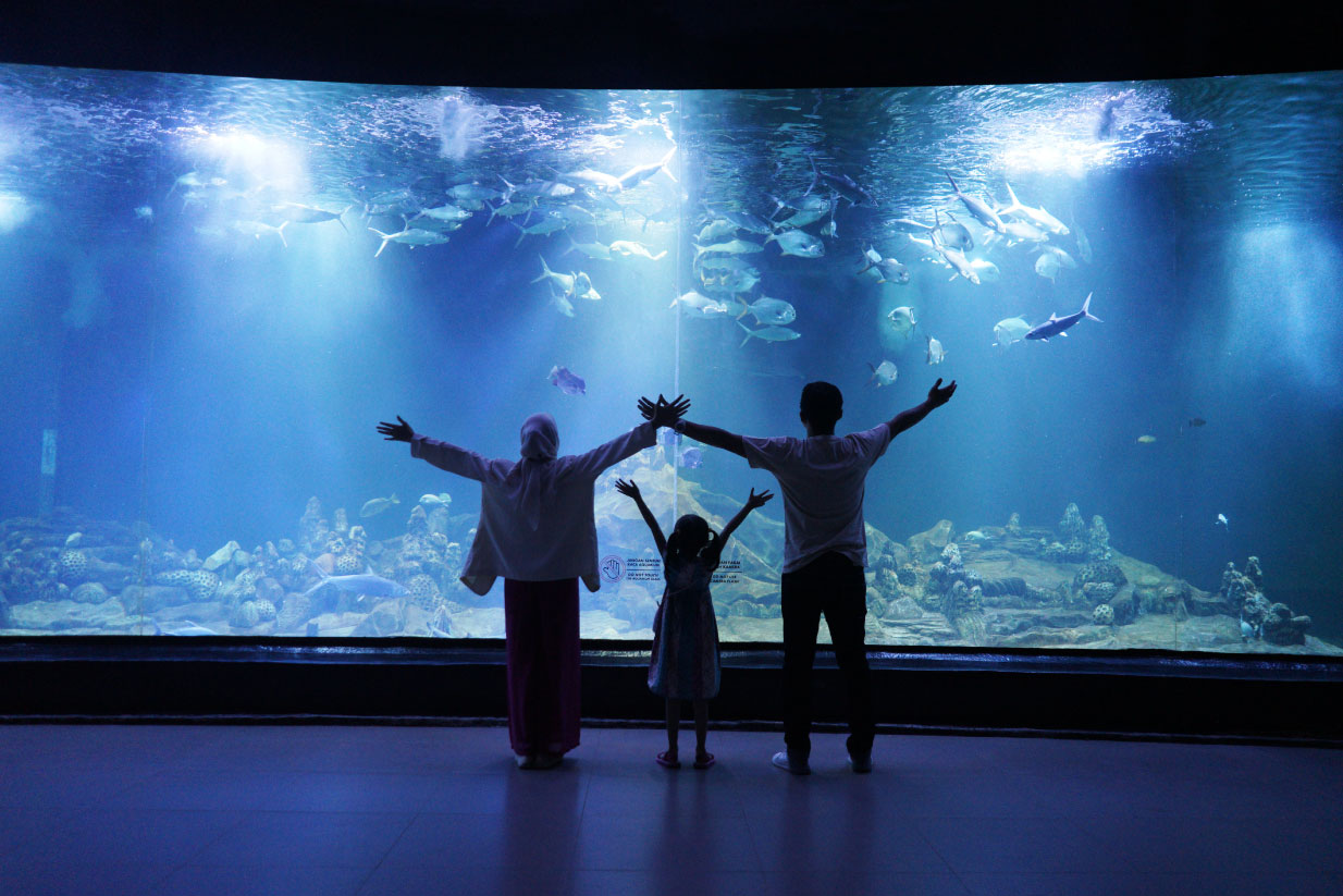 family aquarium