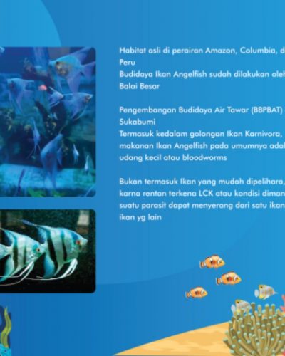 Screenshot 2023-10-13 160829