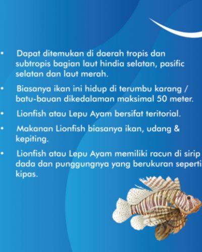 mei_minggu2_Ai-14
